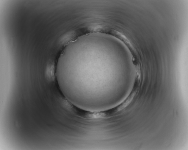 X0000099940670200805231253