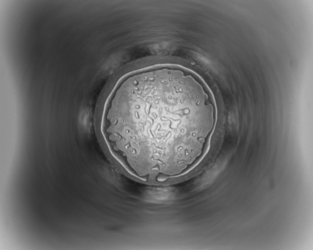 X0000099940671200805231253