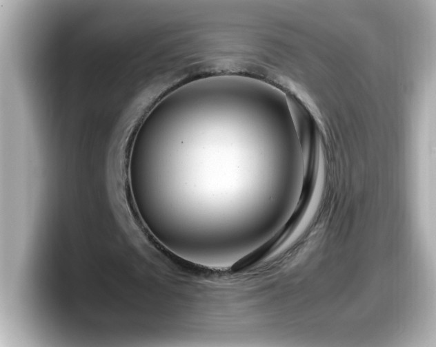 X0000099940673200805231252