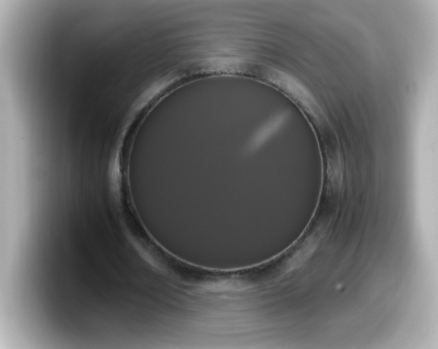 X0000099940674200805231252