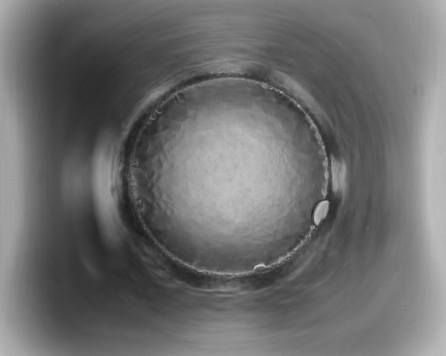 X0000099940675200805231252
