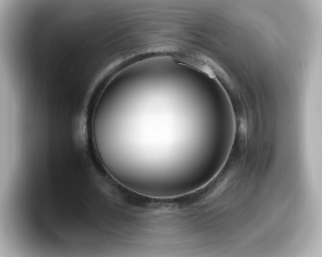 X0000099940676200805231252
