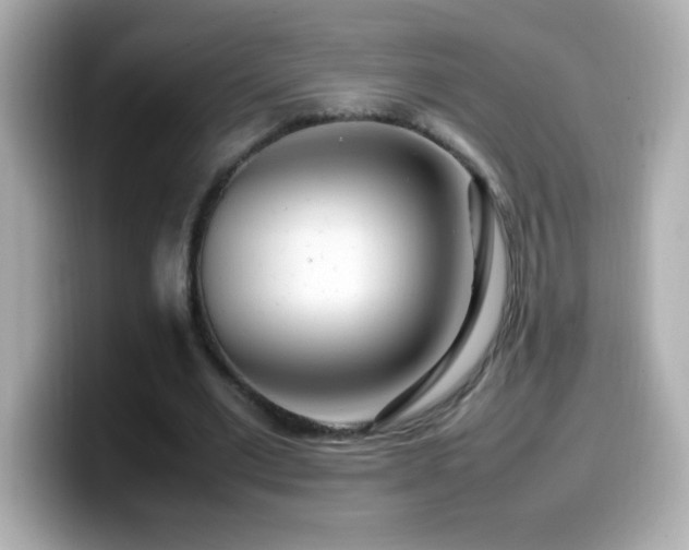 X0000099940677200805231252