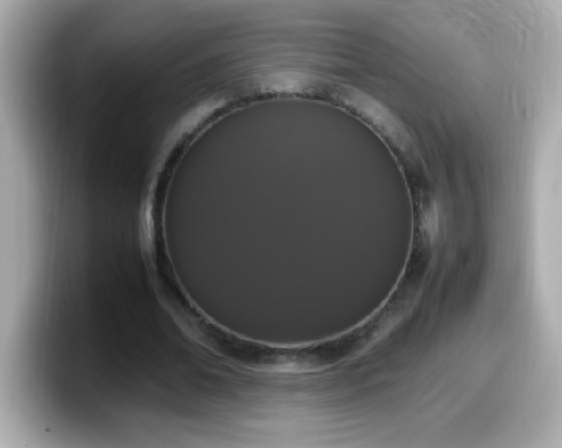 X0000099940678200805231252