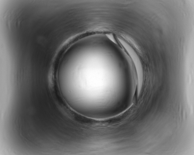 X0000099940680200805231252