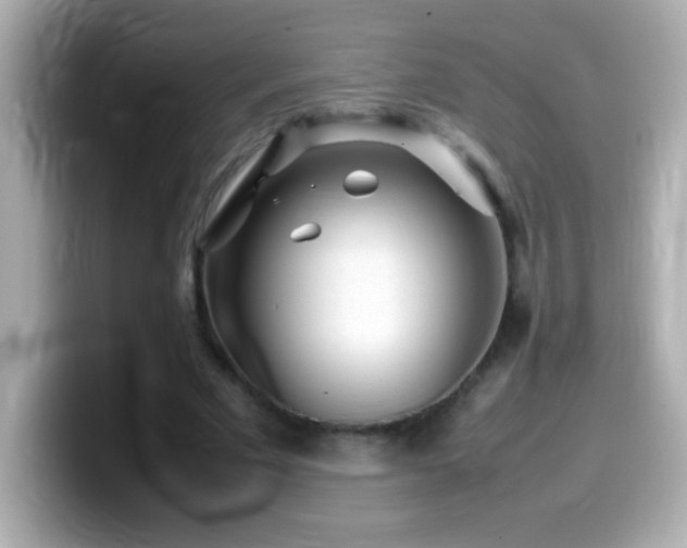 X0000099940681200805231252