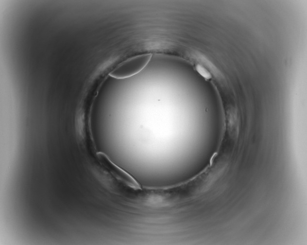 X0000099940684200805231252