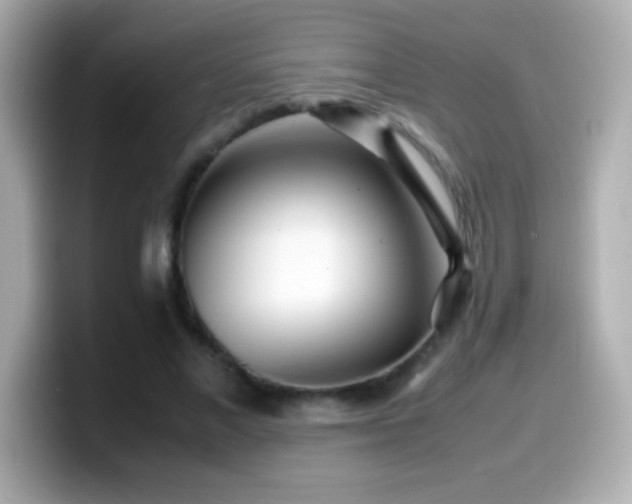 X0000099940685200805231252