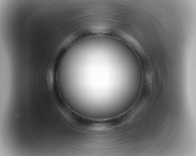 X0000099940686200805231252