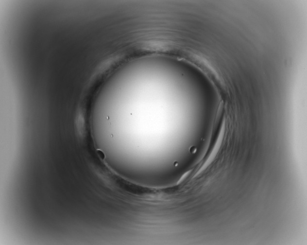 X0000099940688200805231252