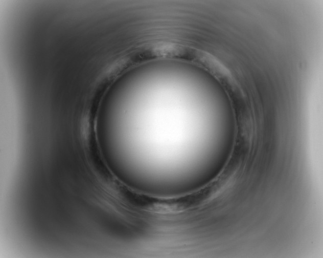 X0000099940690200805231252