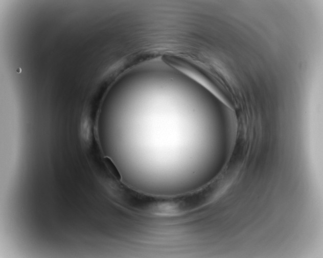 X0000099940692200805231252