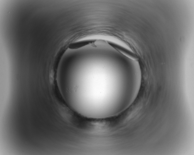 X0000099940693200805231252