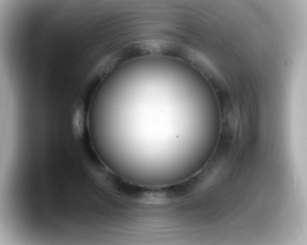X0000099940694200805231252