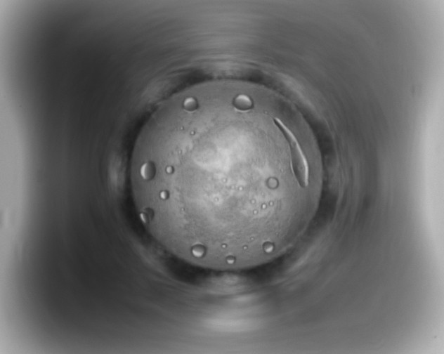 X0000099940695200805231252