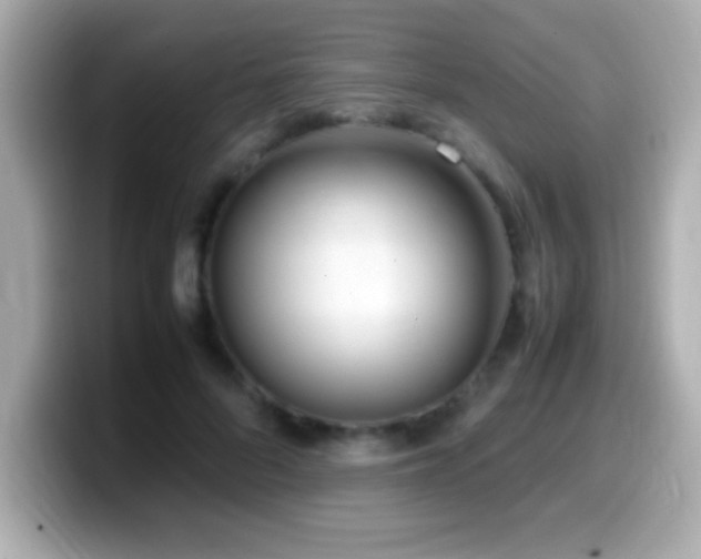 X0000099940696200805231252