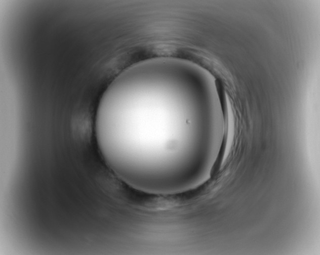 X0000099940697200805231252
