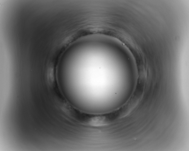 X0000099940700200805231252