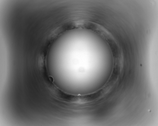 X0000099940702200805231252