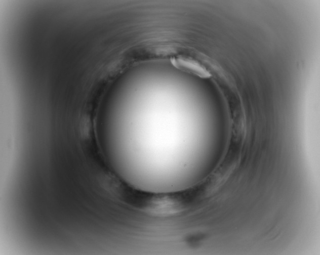 X0000099940704200805231252