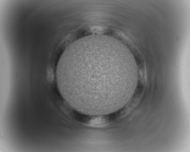 X0000099940705200805231252