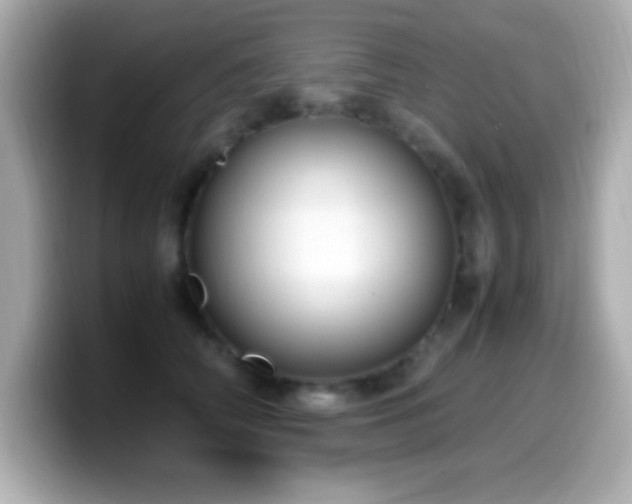 X0000099940706200805231252