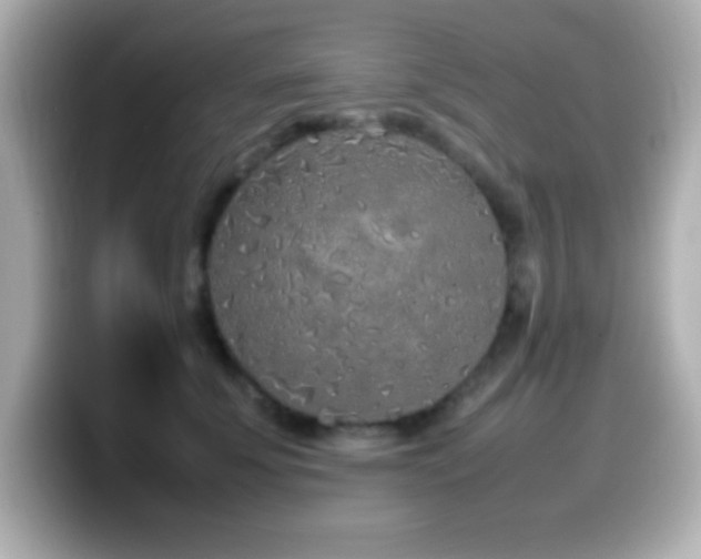 X0000099940707200805231251