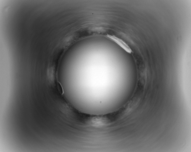 X0000099940708200805231251