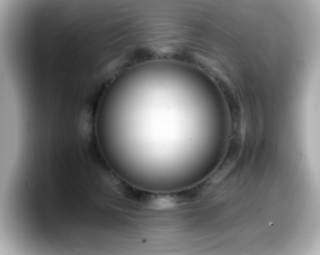 X0000099940710200805231251