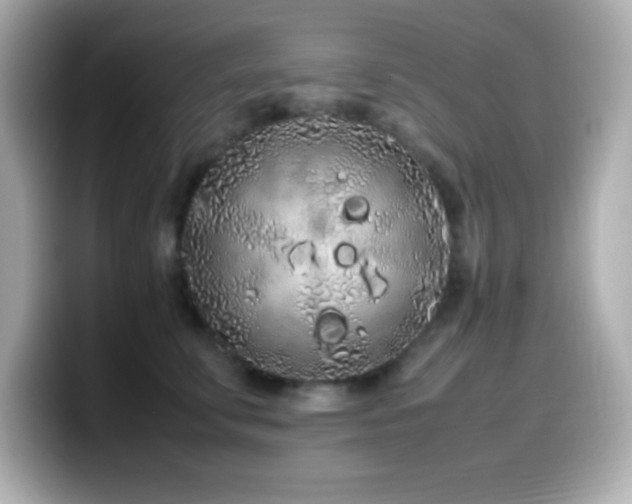 X0000099940711200805231251