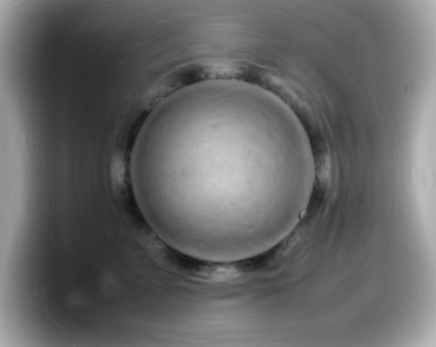 X0000099940715200805231251