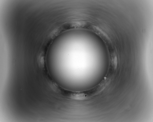 X0000099940716200805231251
