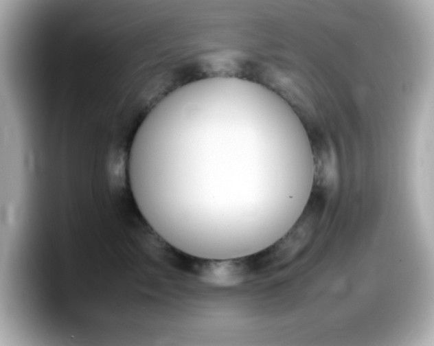 X0000099940717200805231251