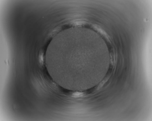 X0000099940718200805231251