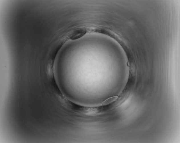 X0000099940719200805231251