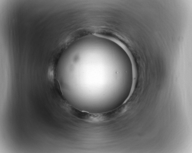 X0000099940720200805231251