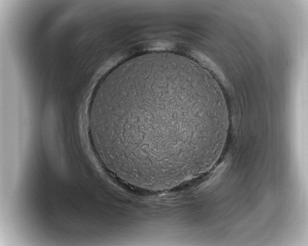 X0000099940721200805231251