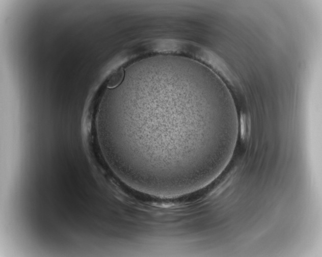 X0000099940723200805231251
