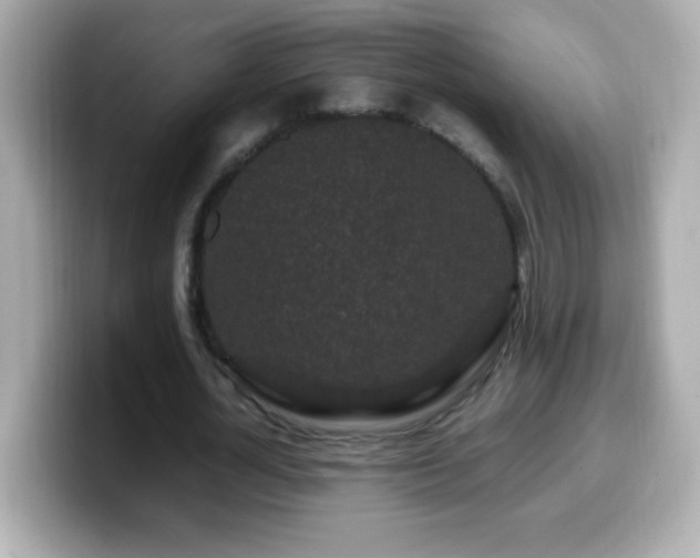 X0000099940724200805231251