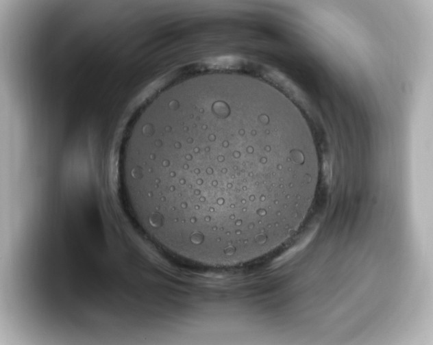 X0000099940725200805231251