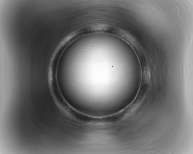 X0000099940726200805231251