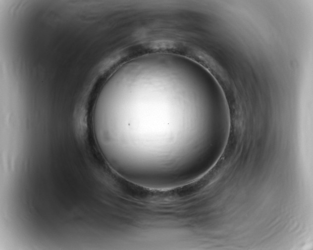 X0000099940727200805231251