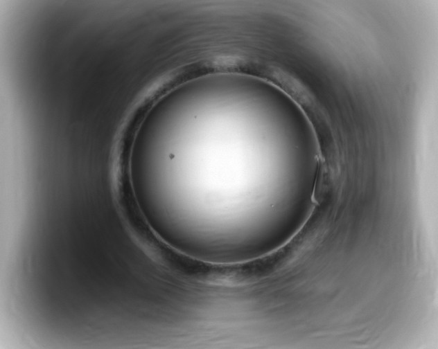 X0000099940728200805231251
