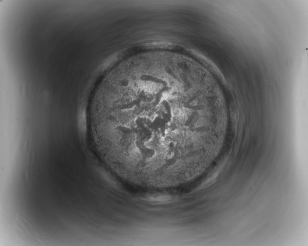 X0000099940729200805231251