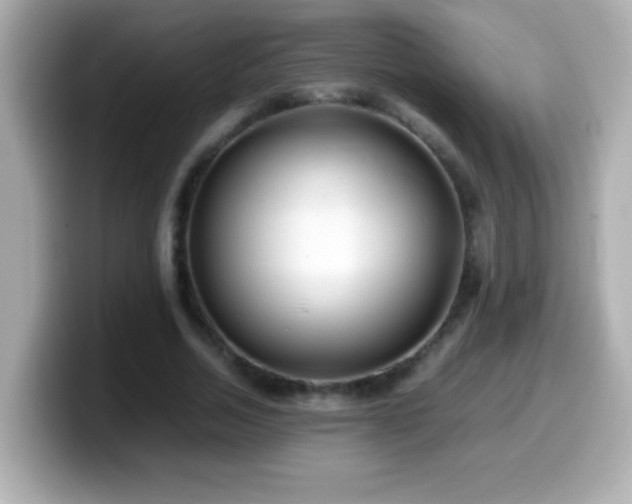 X0000099940730200805231251