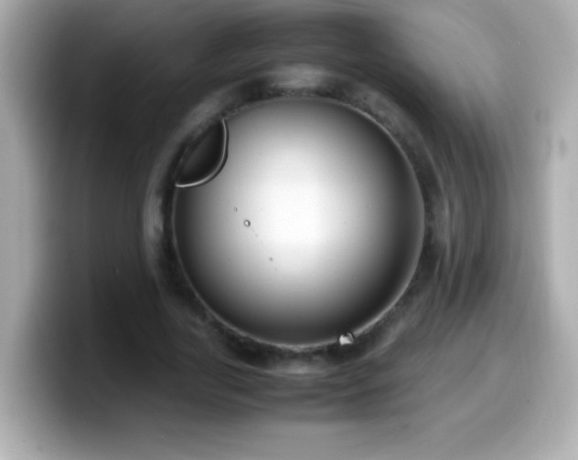 X0000099940731200805231251