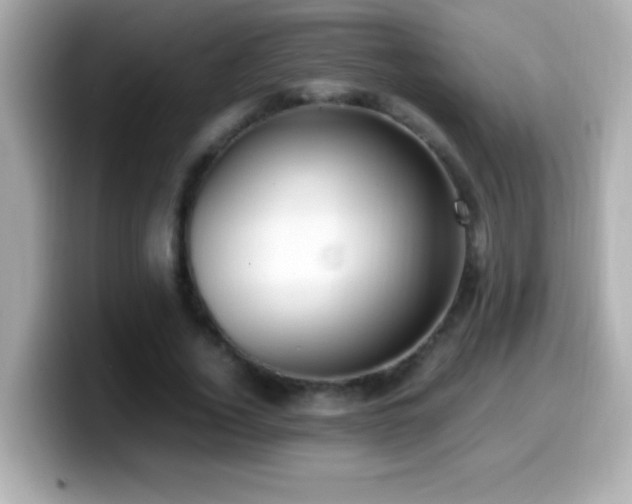 X0000099940732200805231251