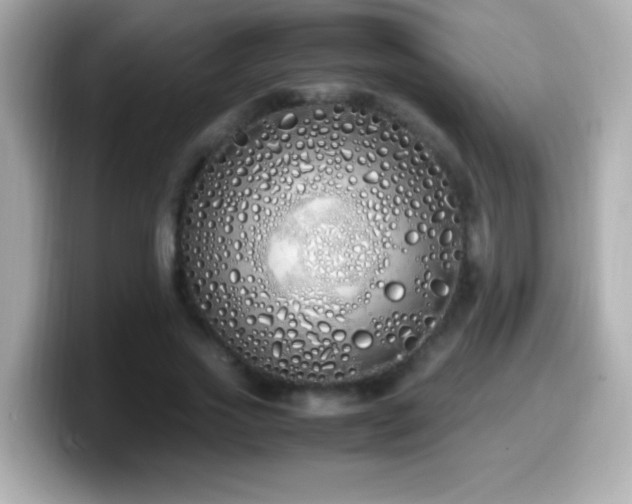 X0000099940733200805231251
