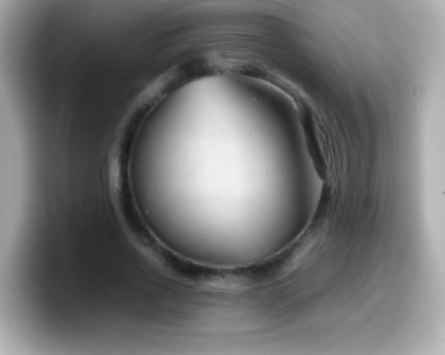X0000099940734200805231251