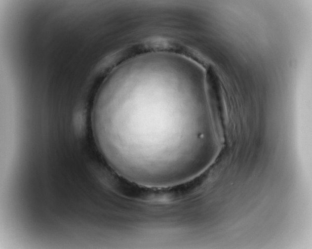 X0000099940735200805231251